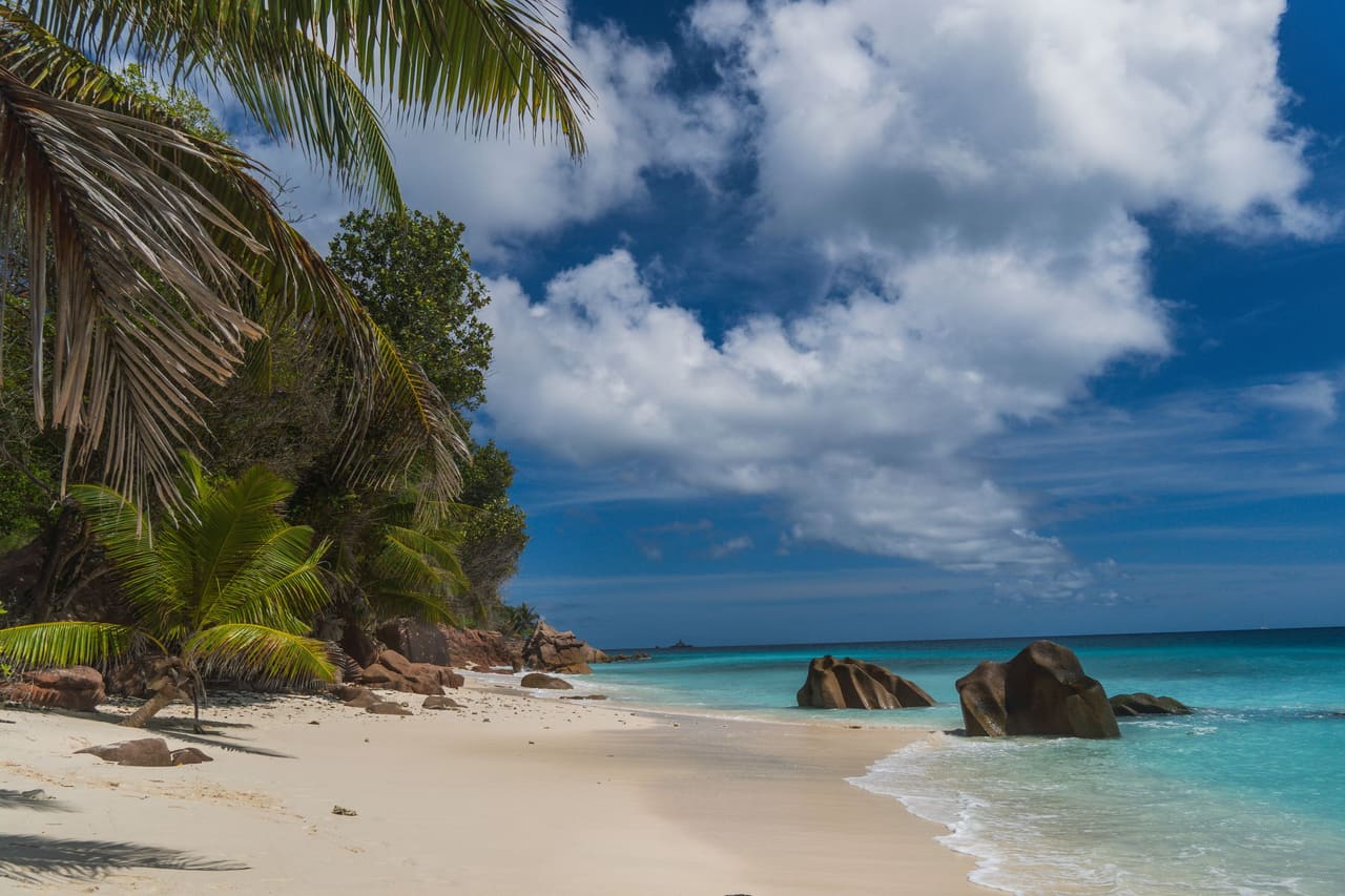 Swim at Anse Lazio