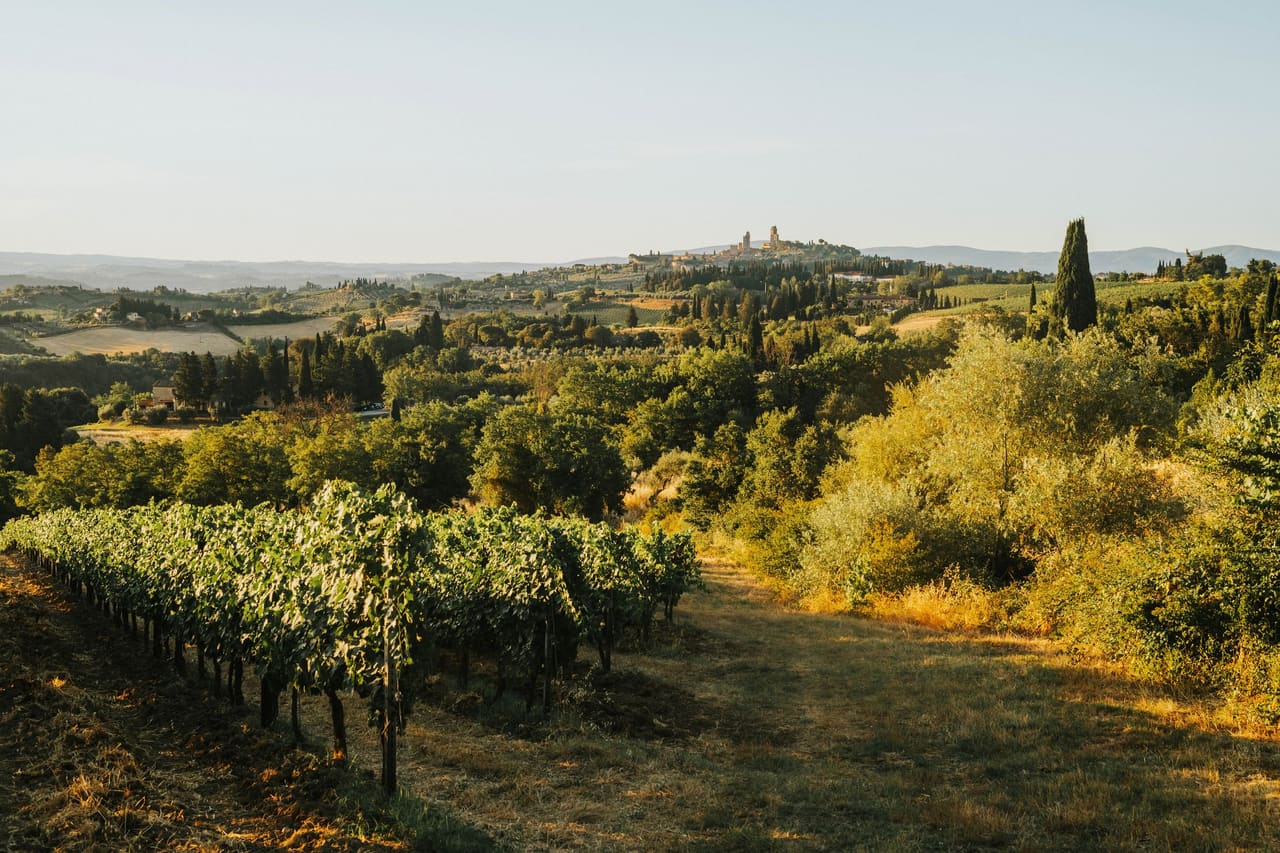 Brunello tasting in Montalcino
