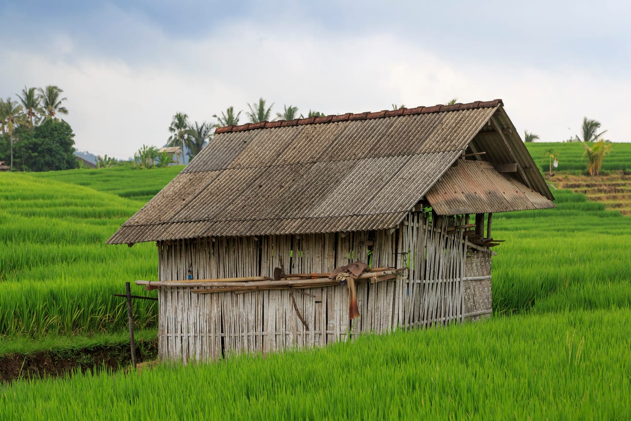 Tabanan-Regency Indonesia Rice-paddies-01