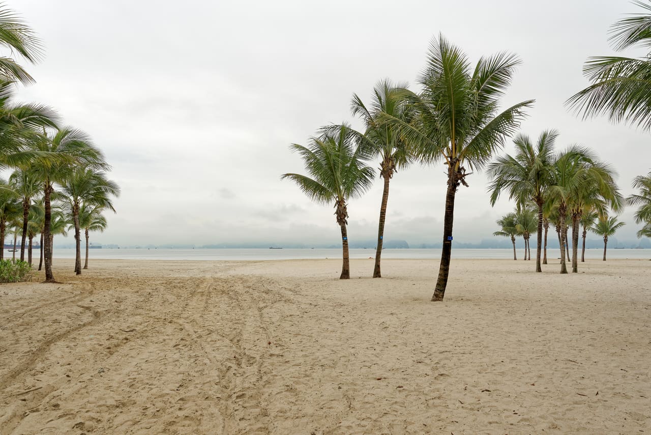 Bai Chay beach, Ha Long, Vietnam, 20240129 0915 3958