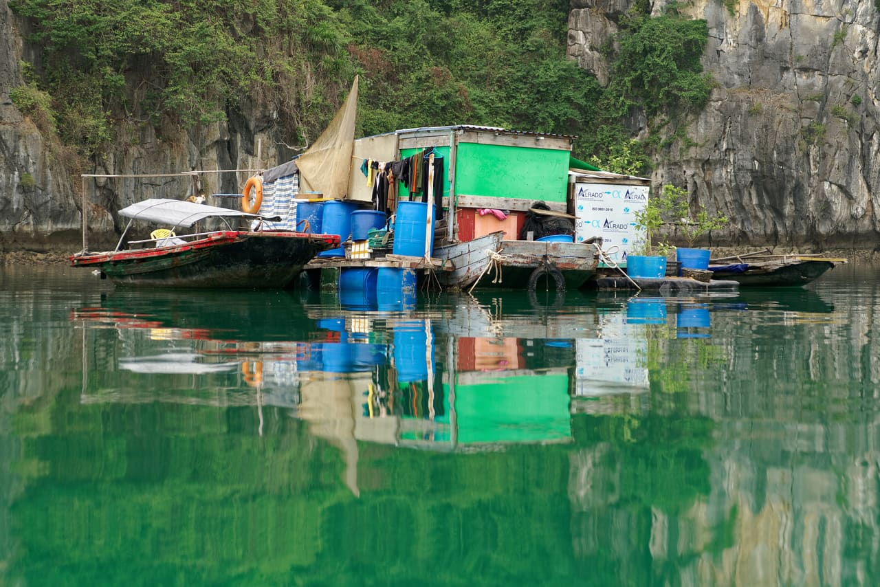 Cat Ba Island, Vietnam, 20240131 1431 4699