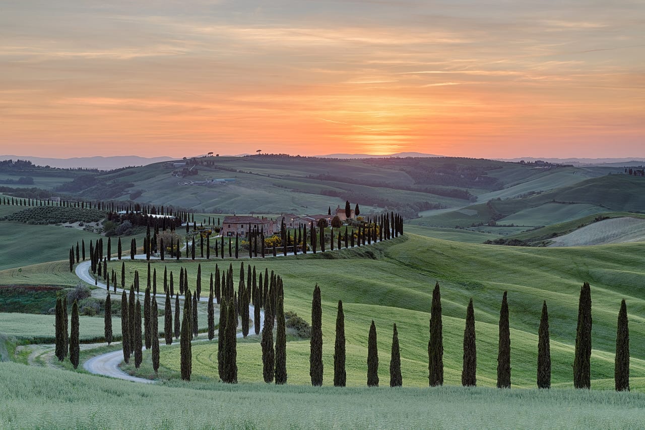 Cypress tree alley at sunset in Asciano, Tuscany