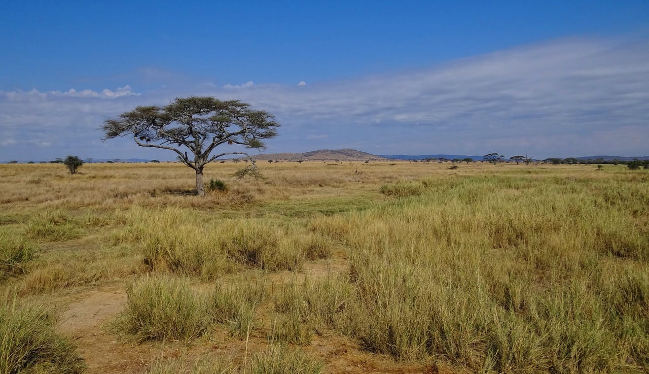 Serengeti, Tanzania